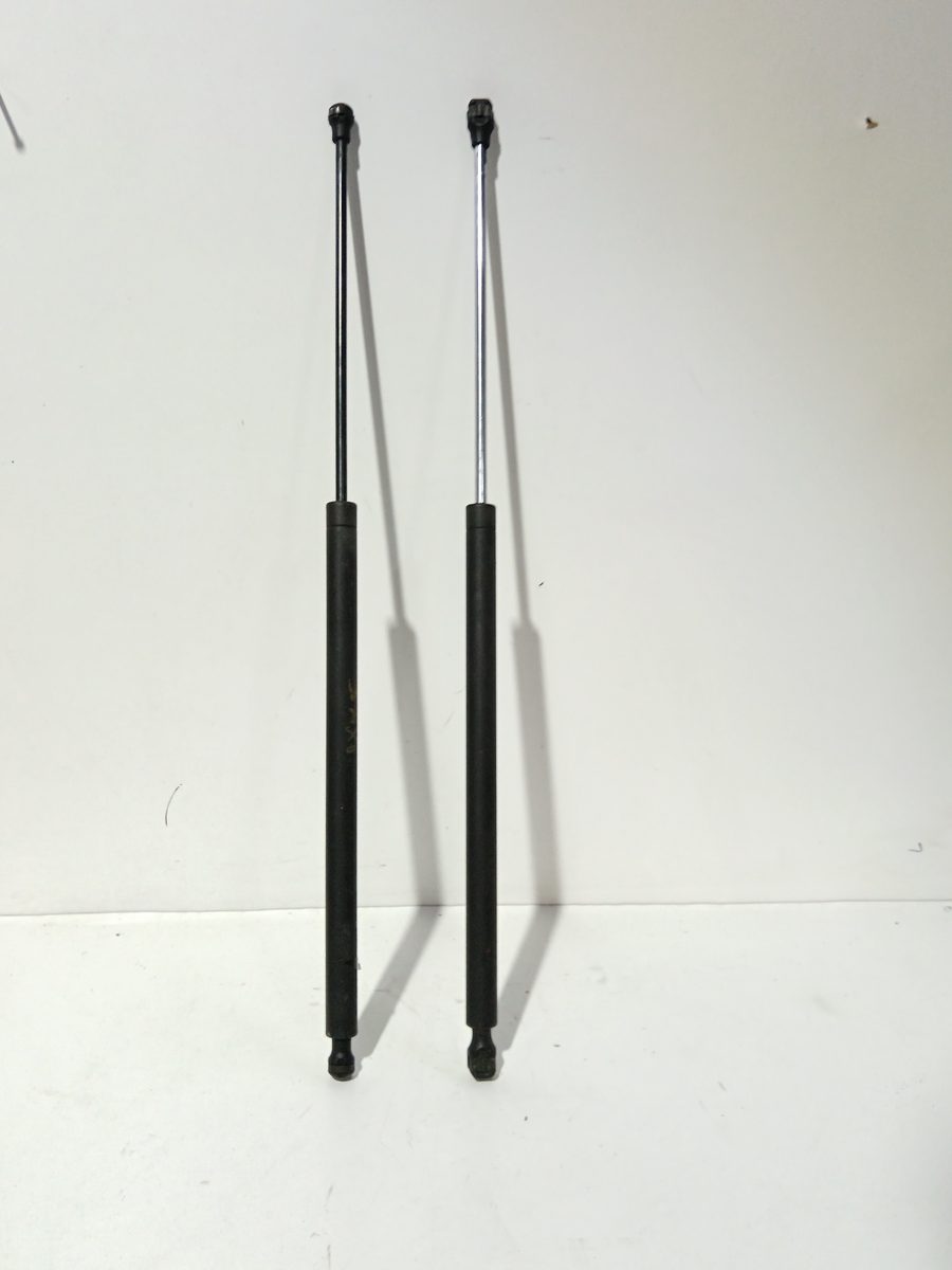 Amortiguadores Maletero / Porton Citroën Saxo 1996-2000 Tentation 9618119180