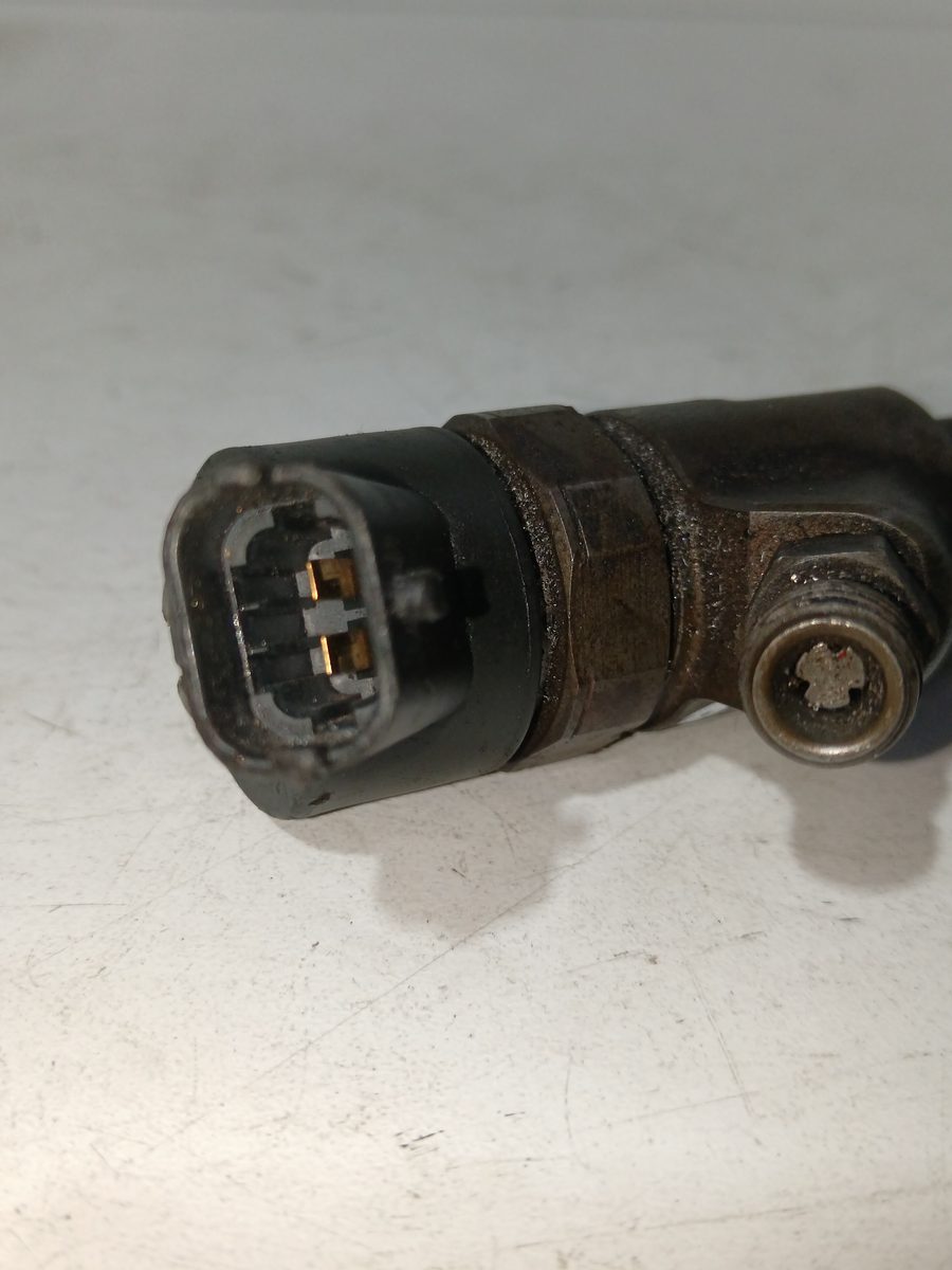 Inyector Citroën C4 Berlina 2004-2011 2.0 HDi CAT (RHR / DW10BTED4) 2.0L 100kW 0445110075