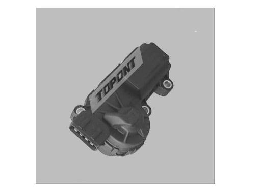 Motor Paso A Paso Clio/ R19 Sistema Bosch