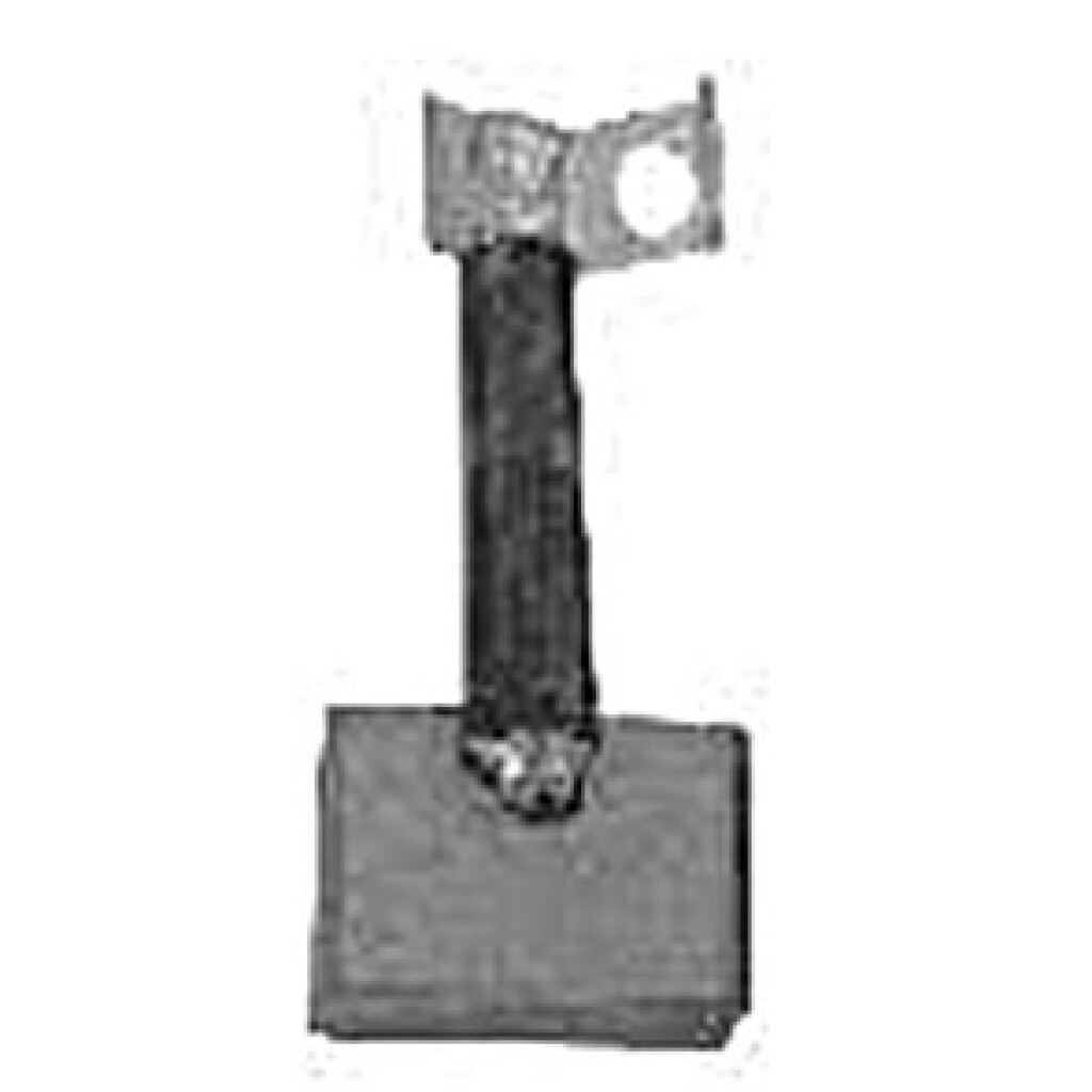 CARBON ARRANQUE - BOSCH 24V 8X25X17 1COLILLA SCHUNK