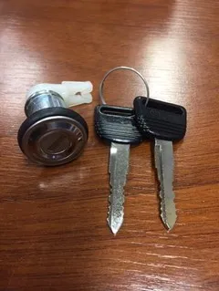 Cilindro de puerta delantero izquierdo