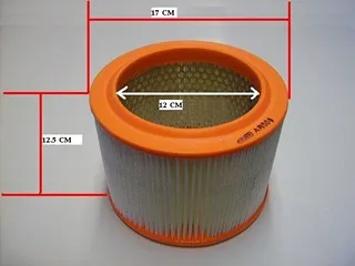 FILTRO AIRE CITROEN-PEUGEOT (CA5456)