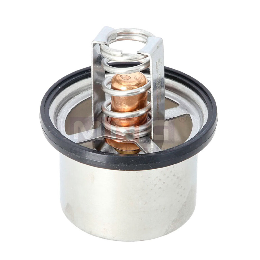 TERMOSTATO RENAULT RENAULT MIDLUM 300 DCI