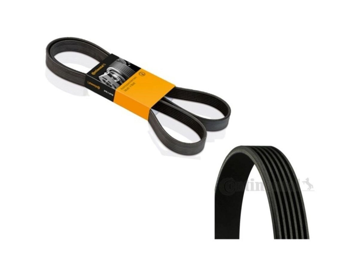 Correa de accesorios elástica
