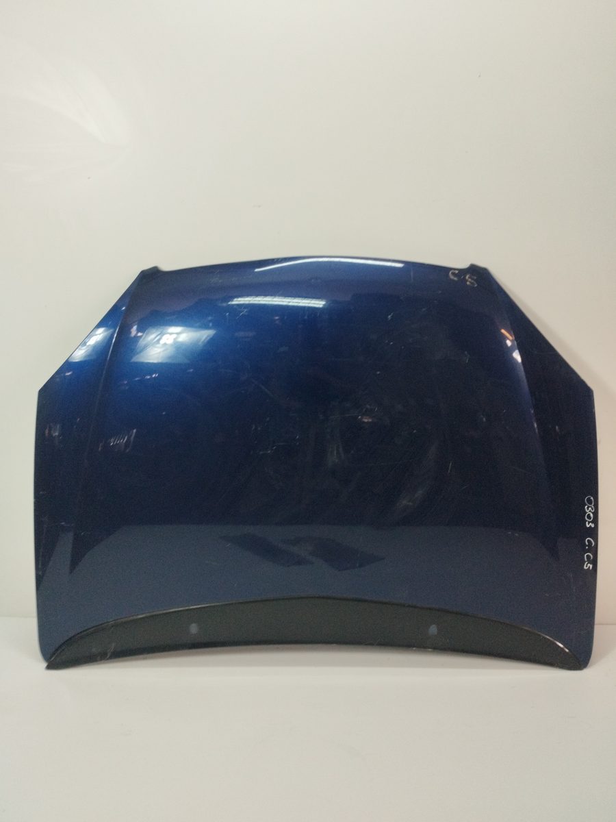 Espolon Citroën C5 Berlina 2004-2008