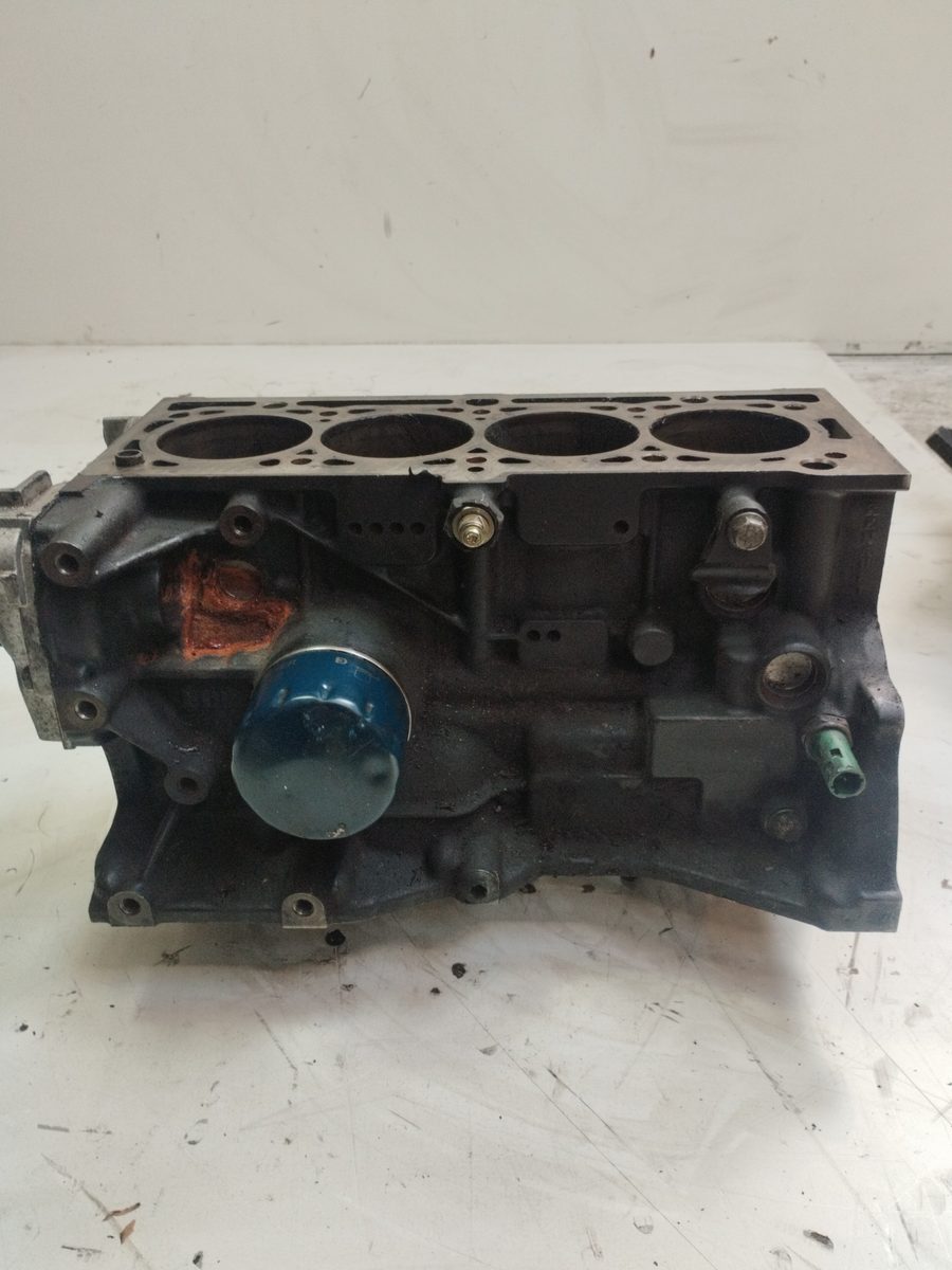 Block Renault Megane I Scenic (JA0) 1996-1999 1.6 16V Kaleido 1.6L 79kW K4M700