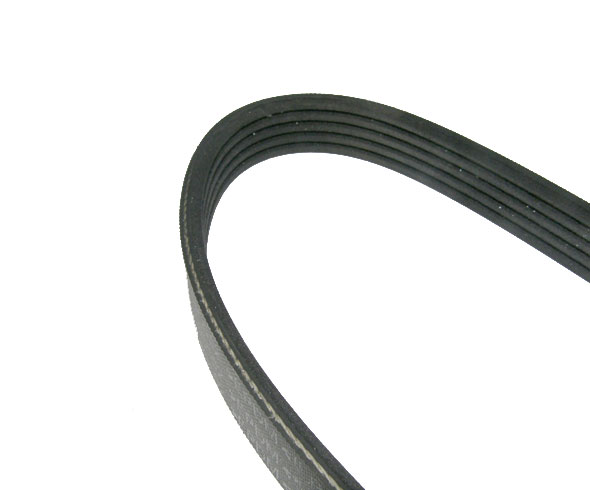 CORREA ALTERNADOR (S/A.A.)