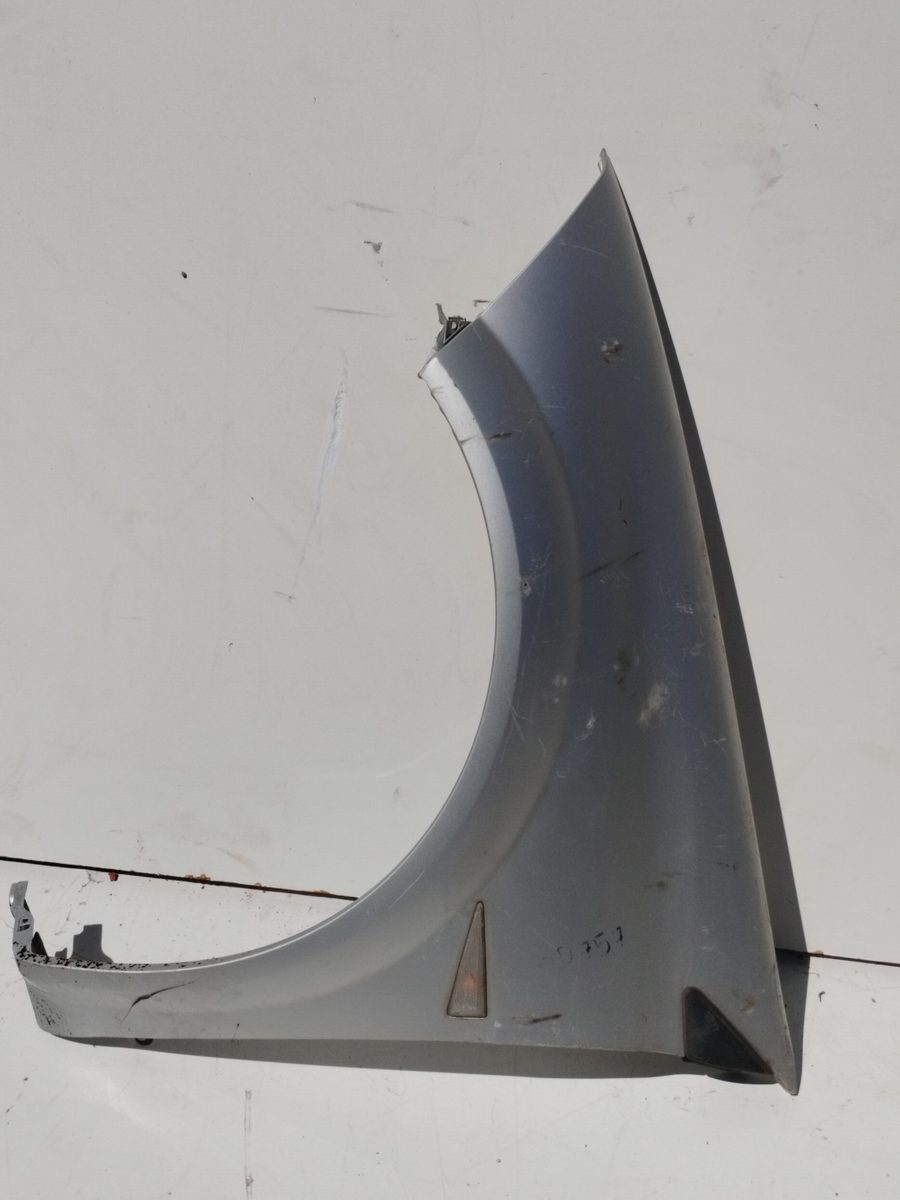 Guardabarro Delantero Izquierdo Renault Megane Ii Berlina 3p 2002-2009 Confort Authentique