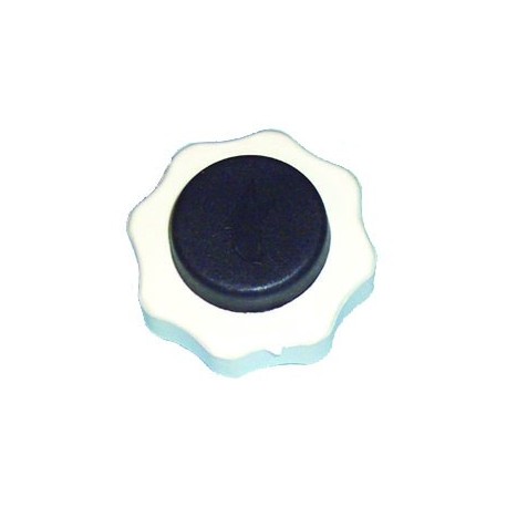 Tapón de depósito auxiliar de radiador