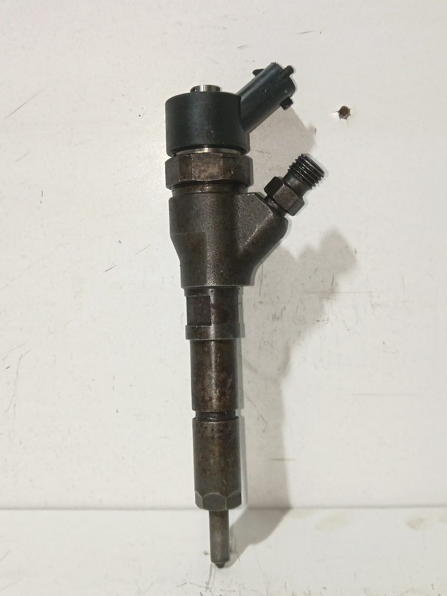 Inyector Citroën C4 Coupe 2004-2011 2.0 HDi FAP CAT (RHR / DW10BTED4) 0445110062