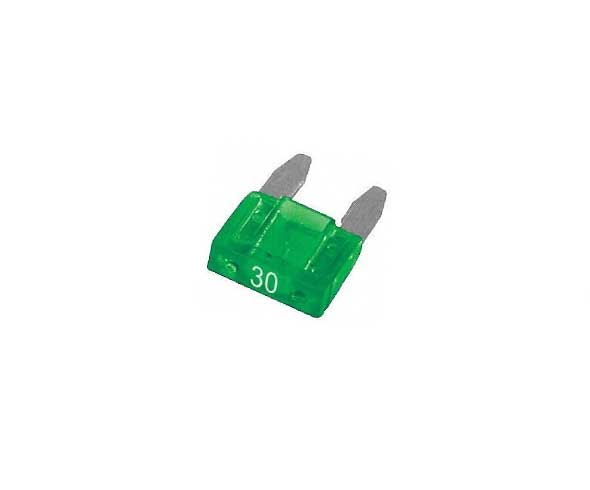 FUSIBLE 30 AMP