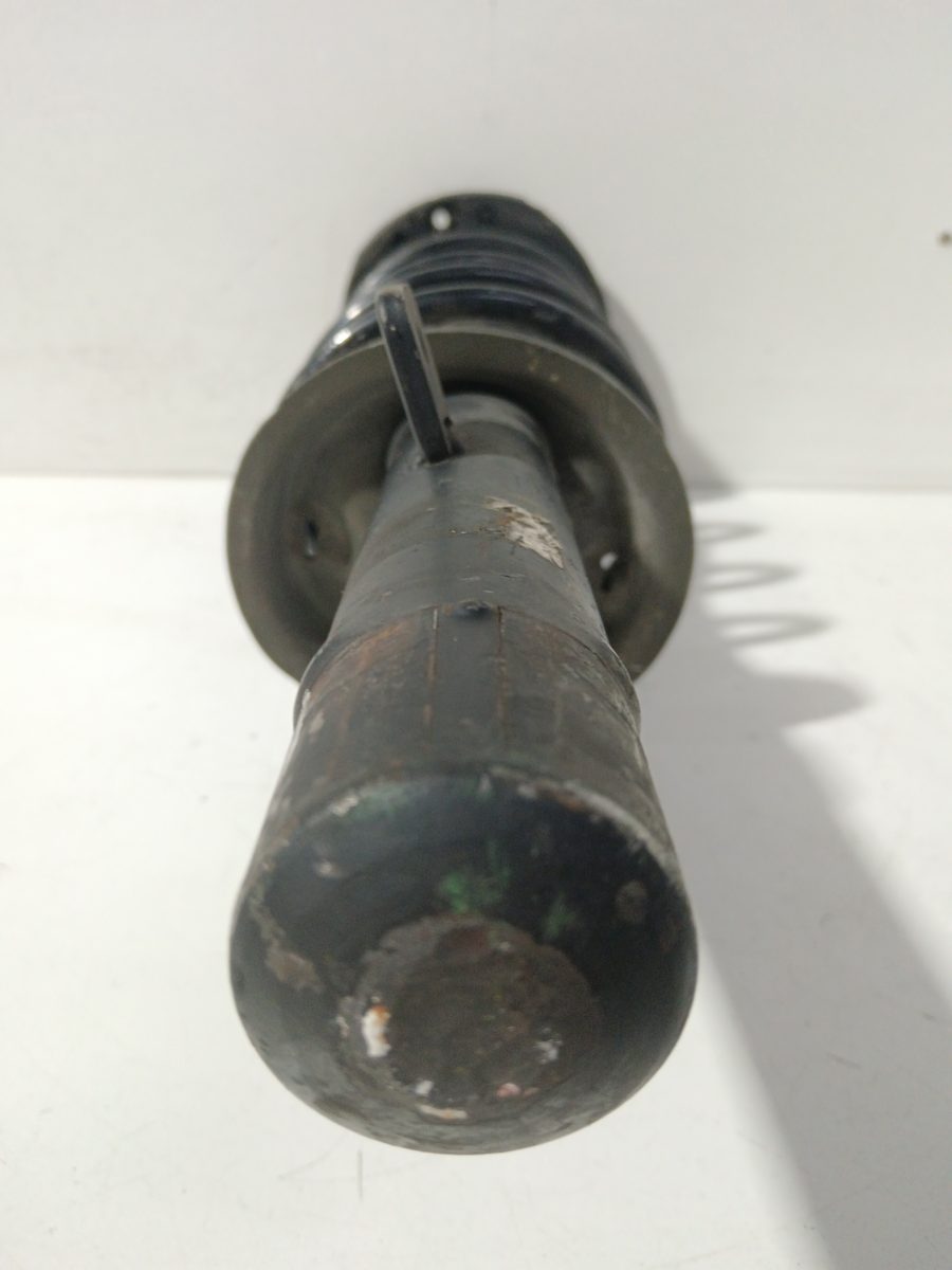 Amortiguador Delantero Izquierdo Peugeot 206 Berlina 1998-2010 XR 1.9L 51kW 9682474680