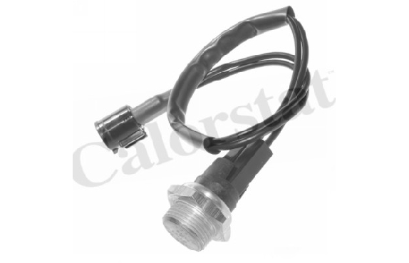 BULBO ELECTRO RENAULT TWINGO CON CABLES 2 TERMINALES [VERNET CALORSTAT]