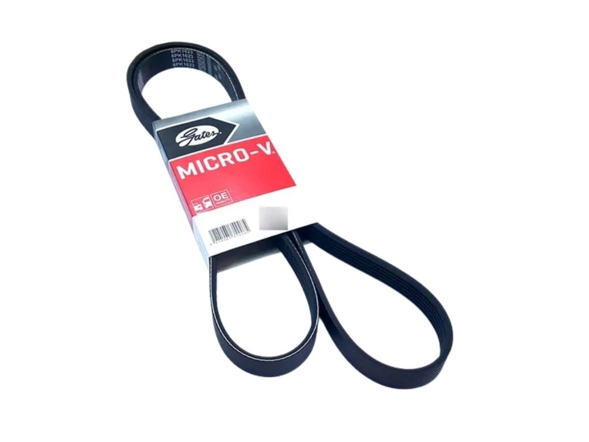 Correa de Accesorios