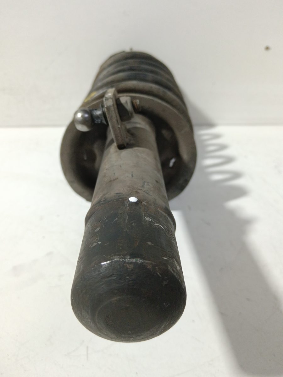 Amortiguador Delantero Izquierdo Peugeot 206 Berlina 1998-2010 XR 1.9L 51kW 1632006880
