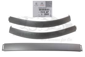 Moldura de paragolpes delantero