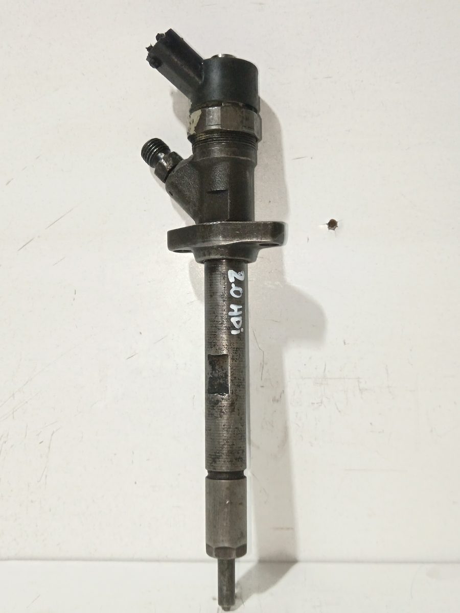 Inyector Peugeot Expert Kasten 2007-2016 Furgón L2H2 2.0L 94kW 0445110057