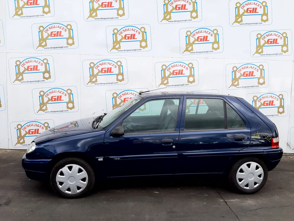 Puerta Trasera Izquierda Citroën Saxo 1999-2004 SX