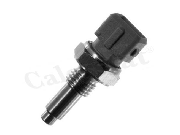 BULBO TEMPERATURA RENAULT MEGANE CLIO EXPRESS INYECCION WS2589 [VERNET CALORSTAT]