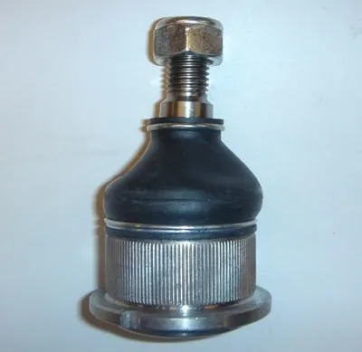 Rótula inferior delantera
