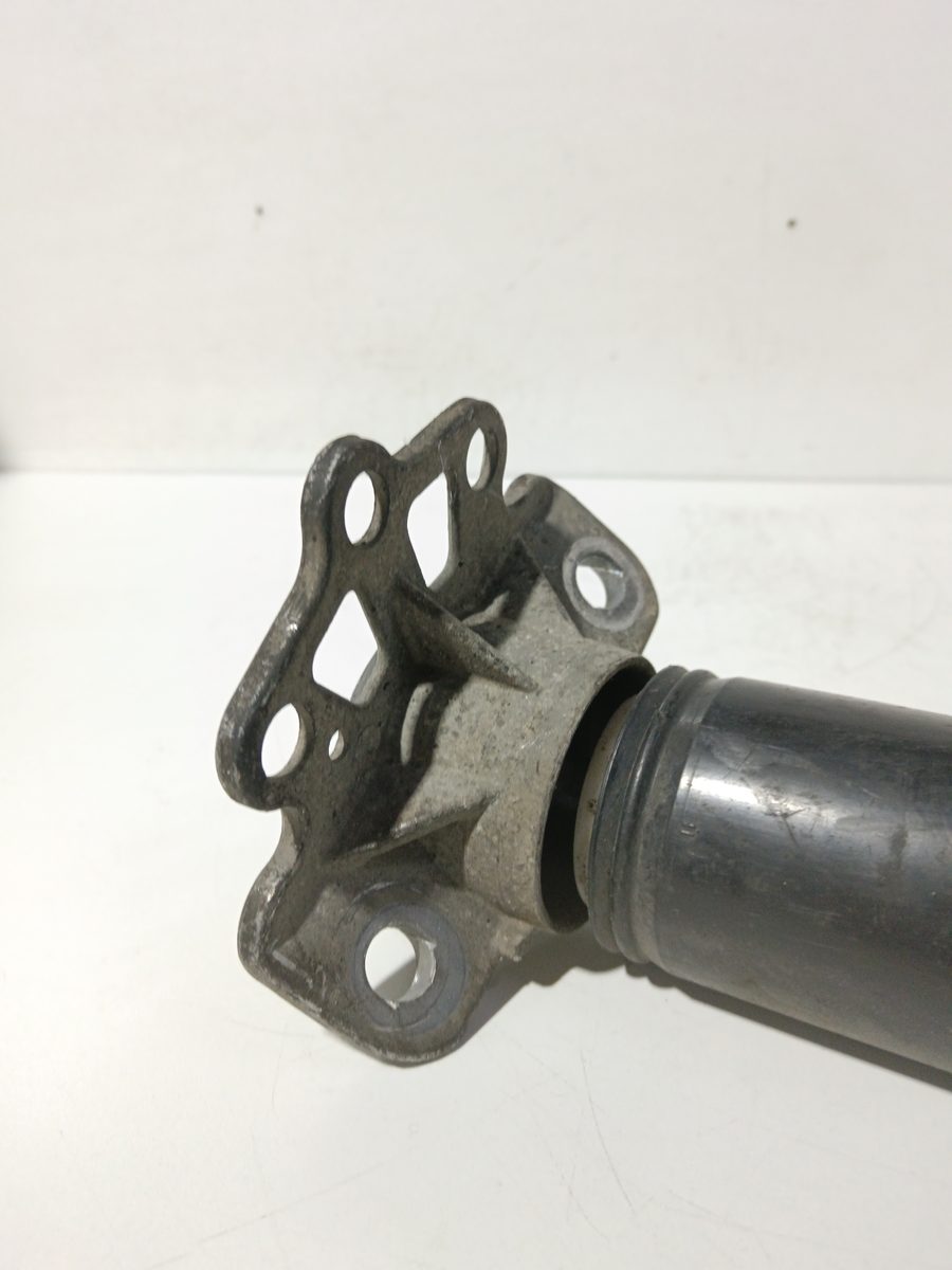 Amortiguador Trasero Der/Izq Fiat Grande Punto (199) 2005-2012 1.3 16V JTD CAT 55700452