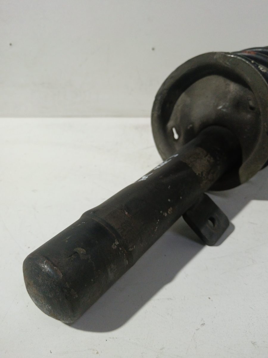Amortiguador Delantero Izquierdo Citroën Zx 1991-1998 1,4 1.4L 55kW 4625408380