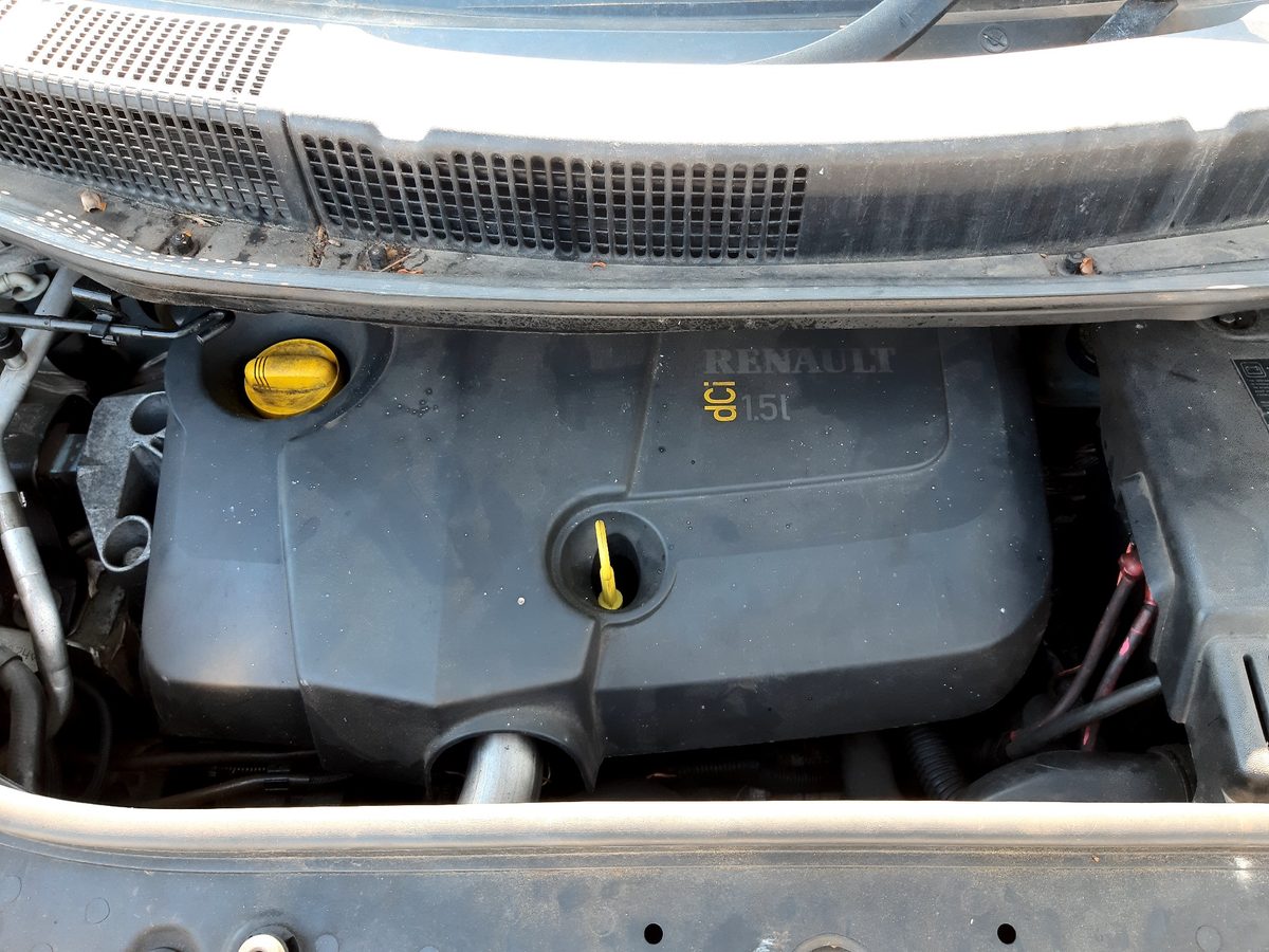 Puerta Delantera Derecha Renault Scenic II 2003-2009 Confort Dynamique
