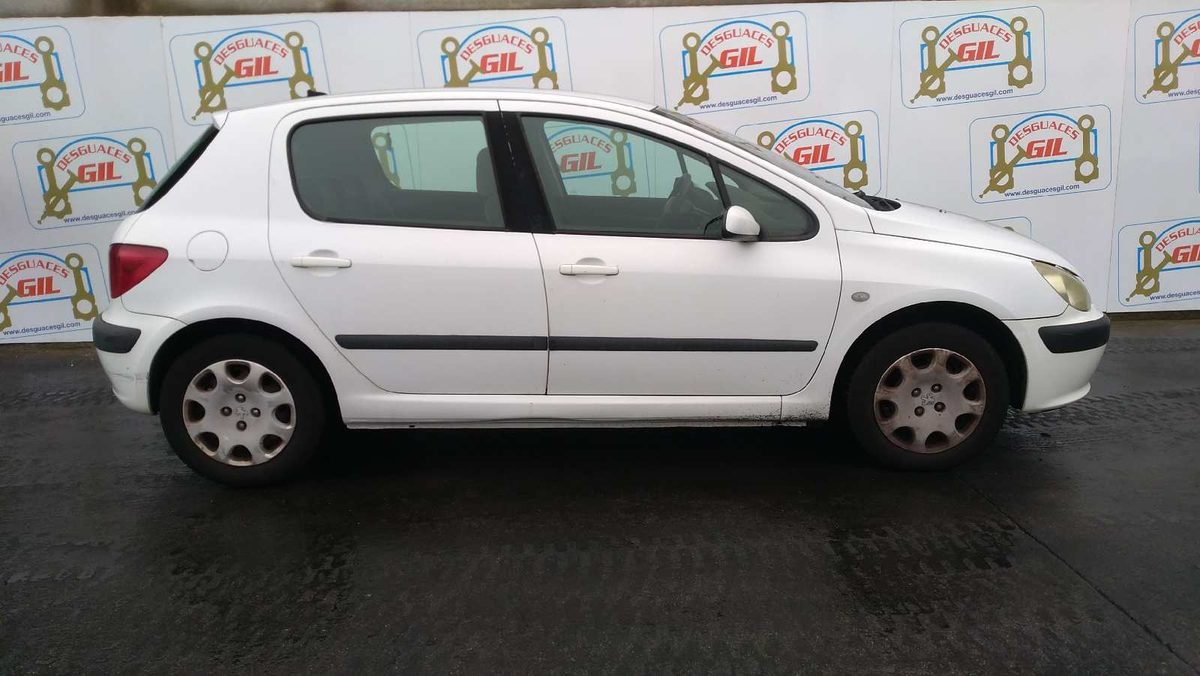 Puerta Delantera Izquierda Peugeot 307 (S1) 2001-2005 XR