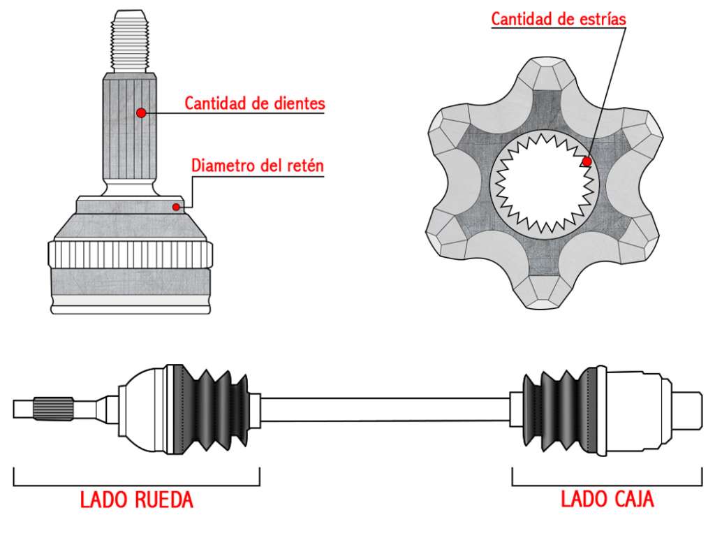 Palier completo