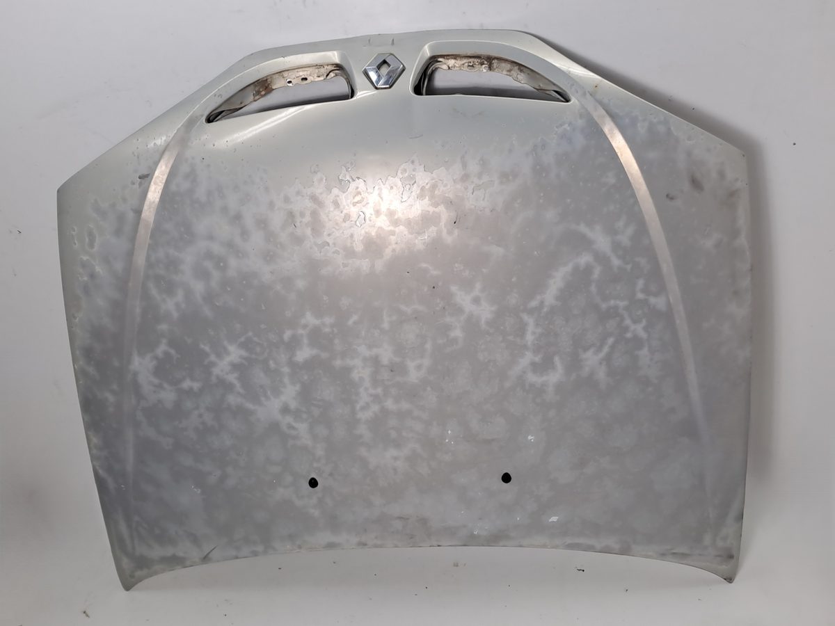 Espolon Renault Megane I Classic (LA0) 1996-2001 RN