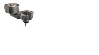 Rulemán tensor correa alternador
