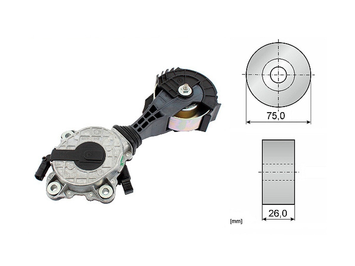 Tensor De La Bomba Agua BMW 316I (F30)/120I (F20)/118I (F21)/114I (F21)/116I (F20)/118I (F20)/320I (F30) Citroen C3 Picasso/C3
