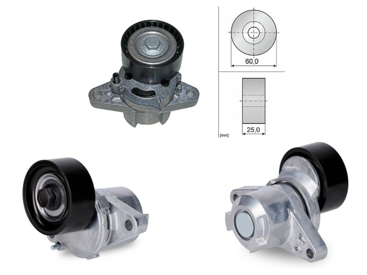 Tensor Correa de Accesorios Renault Clio/Express/Kangoo/Laguna/Logan/Megane/Scenic/Symbol 03-25