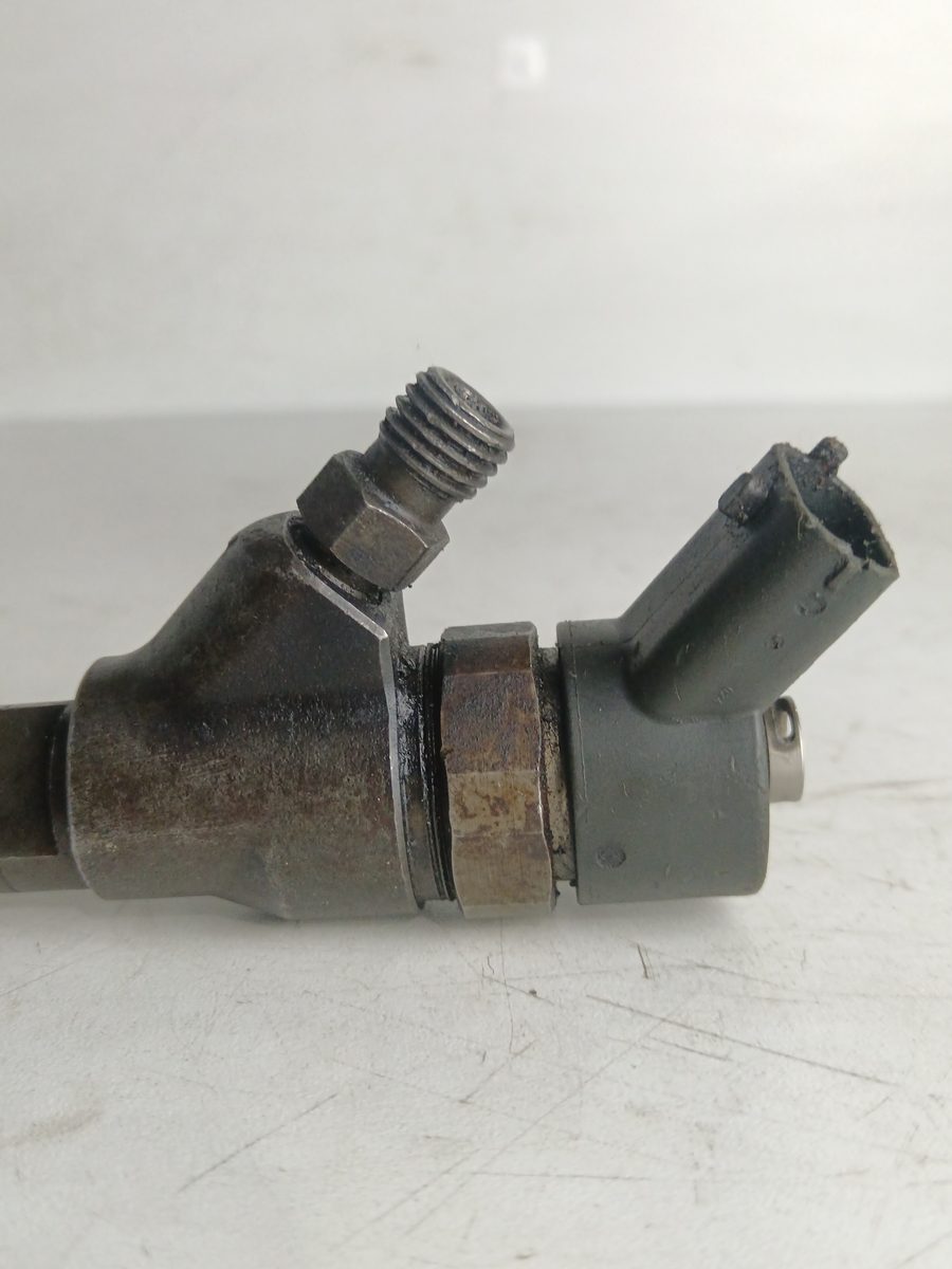 Inyector Citroën Berlingo 2002-2011 2.0 HDi CAT (RHY / DW10TD) 2.0L 66kW 0445110044