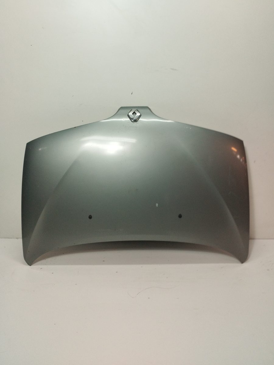 Espolon Renault Scenic (JA..) 1999-2003