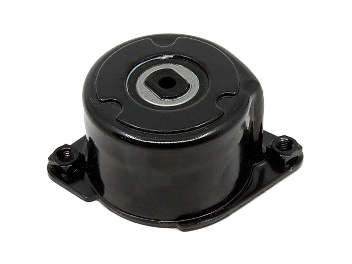 Tensor De La Correa BMW 330Xd (E46)/X3 Diesel (E83)/530D (E60)/330D (E90) 03-11