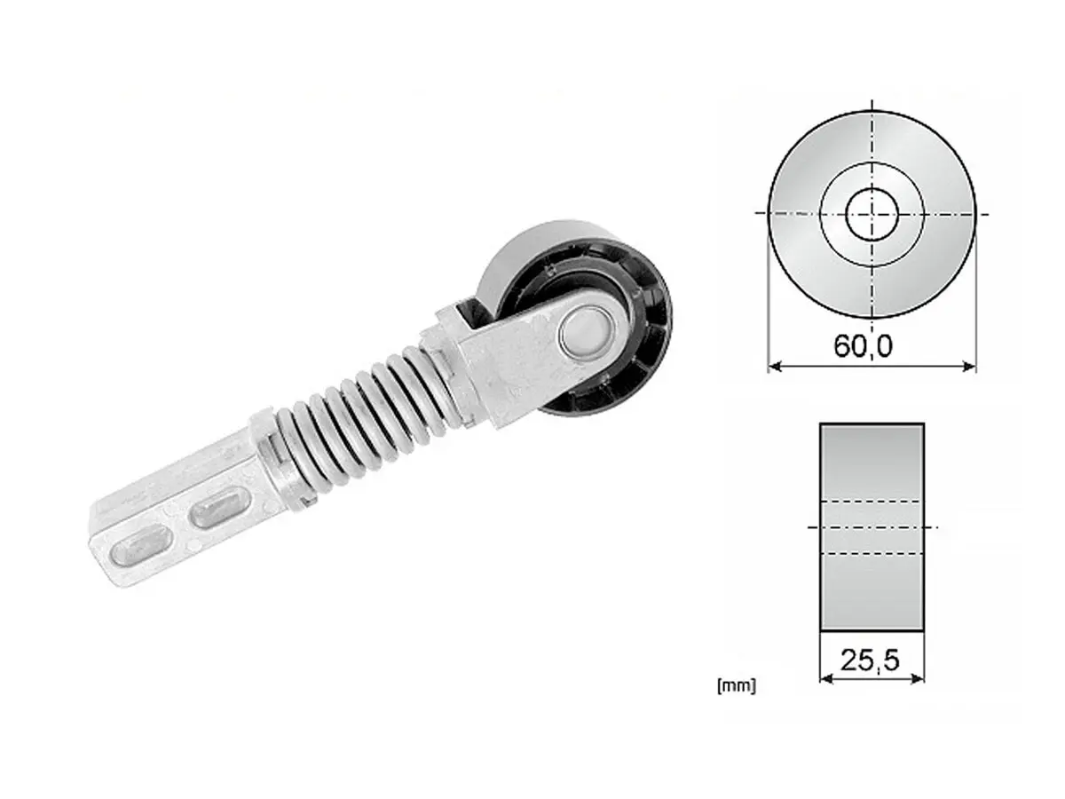 Tensor De La Correa Renault Scenic/Megane 00-10