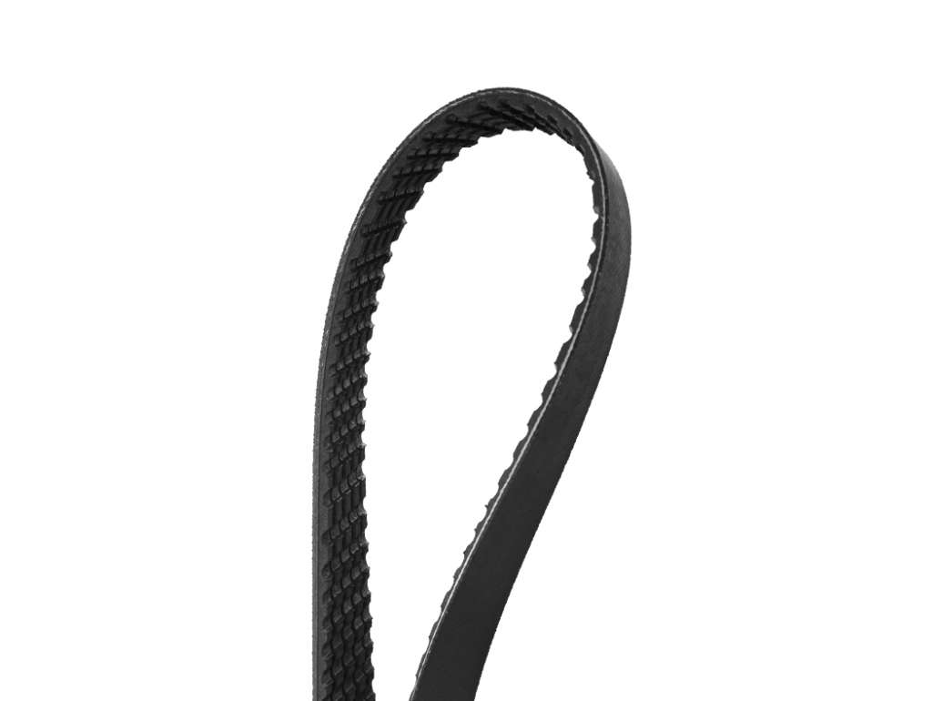 Correa de accesorios para alternador