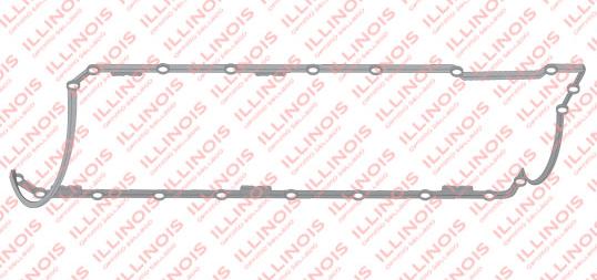 JUNTA DE CARTER RENAULT K9K/K4M LOGAN/CLIO II ILLINOIS [ILLINOIS]