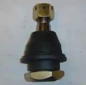 Rótula inferior delantera