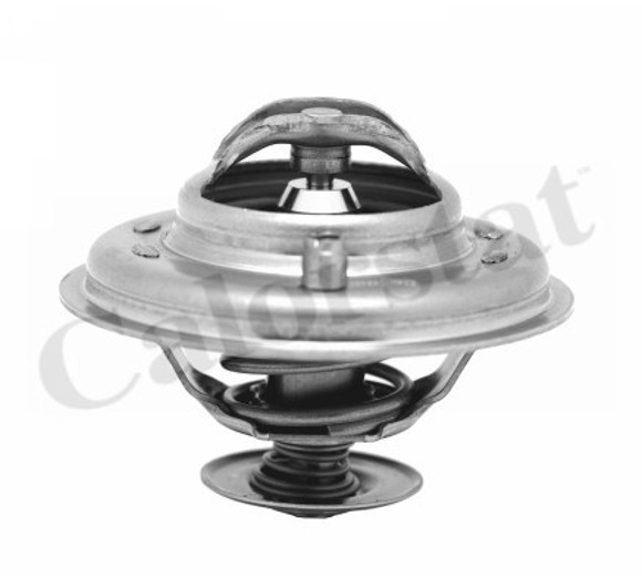 TERMOSTATO C/VALV BMW 325TD/TDS 318TDS/525TD 91/2000 80