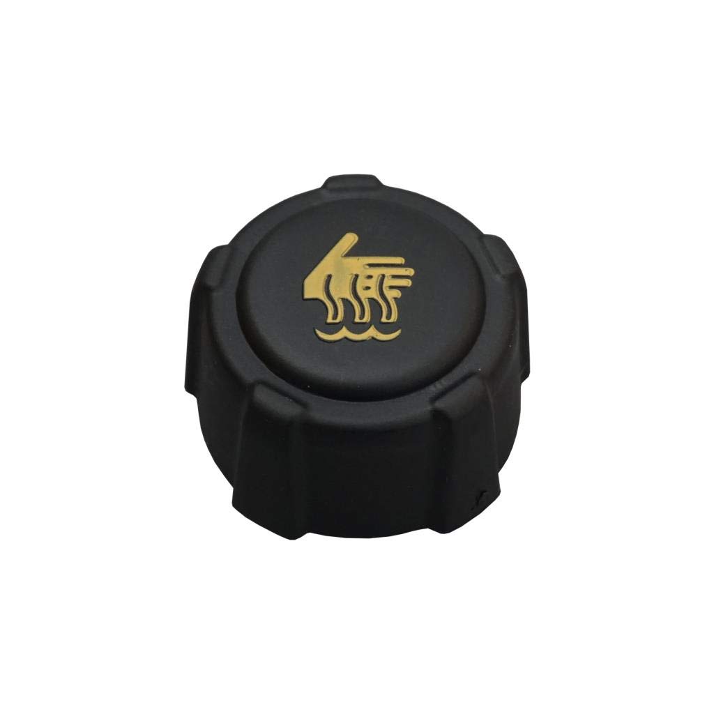 TAPON DEPOSITO RENAULT AUX. CLIO II TWINGO KANGOO DUSTER SANDERO 1.4 BAR