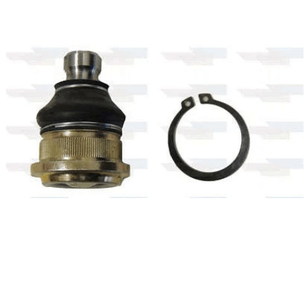 ROTULA INF NISSAN TIIDA VERSA 2007/