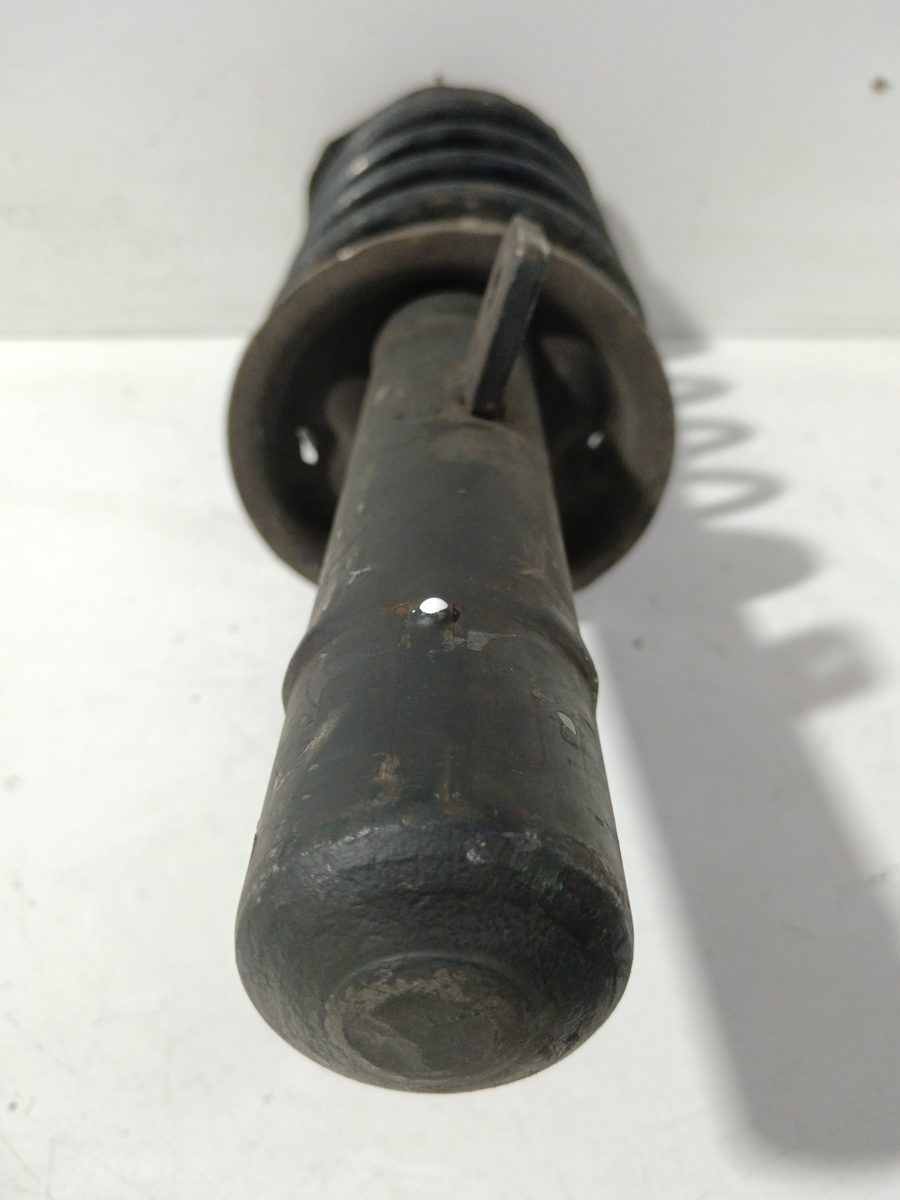 Amortiguador Delantero Derecho Citroën Zx 1991-1998 1,4 1.4L 55kW 1632006880