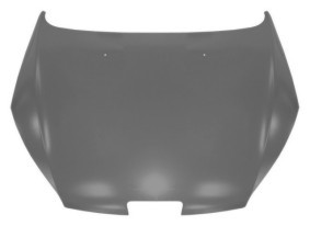 CAPOT ESPOLON PEUGEOT 407 [ORAN]