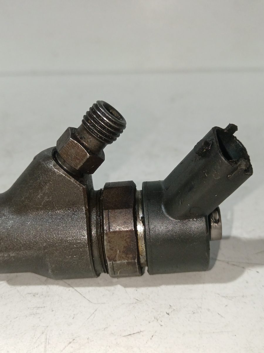 Inyector Citroën C4 Berlina 2004-2011 2.0 HDi CAT (RHR / DW10BTED4) 2.0L 100kW 0445110076