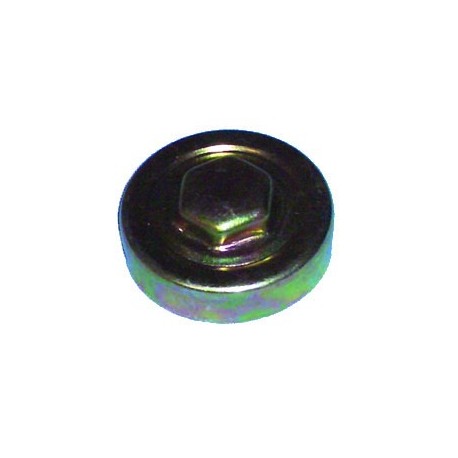 Tapón de depósito auxiliar de radiador