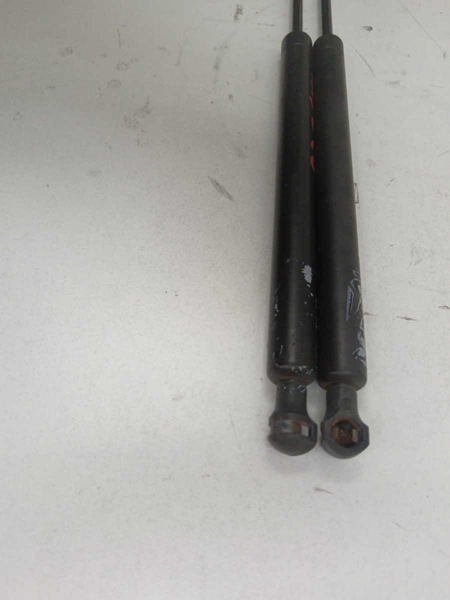 Amortiguadores Maletero / Porton Peugeot 307 (S1) 2001-2005 XS