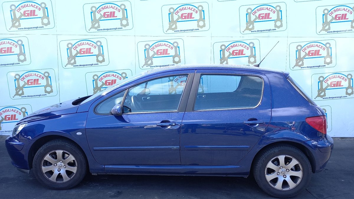 Amortiguadores Maletero / Porton Peugeot 307 (S1) 2001-2005 XS