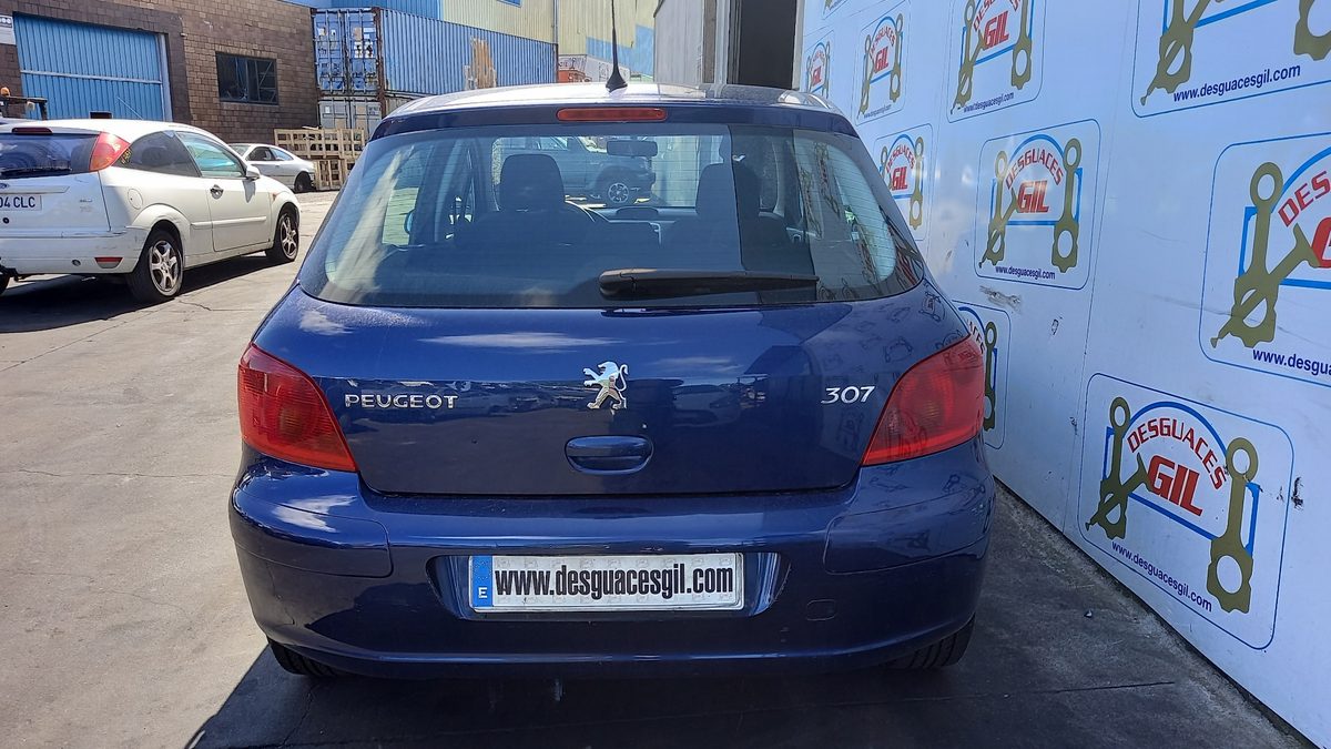 Amortiguadores Maletero / Porton Peugeot 307 (S1) 2001-2005 XS